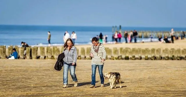 ベッド・アンド・ブレックファスト Hornbaek Bed & Breakfast 3*