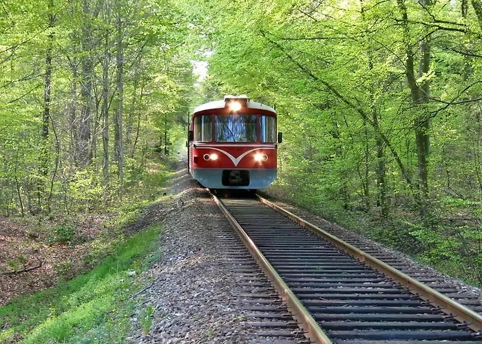 Hornbaek Bed & Breakfast ベッド・アンド・ブレックファスト